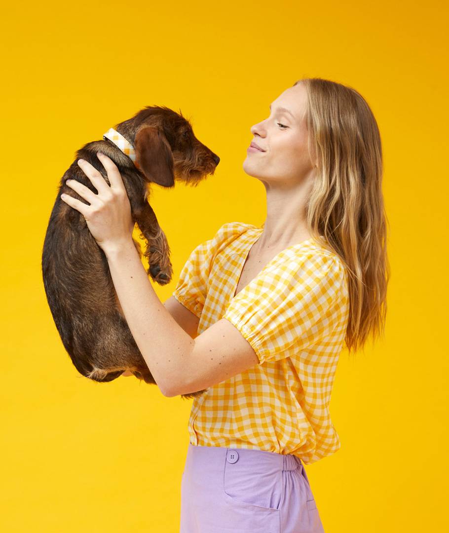 犬の毛が部分的に抜けるのはなぜ？ 症状から知る主な原因
