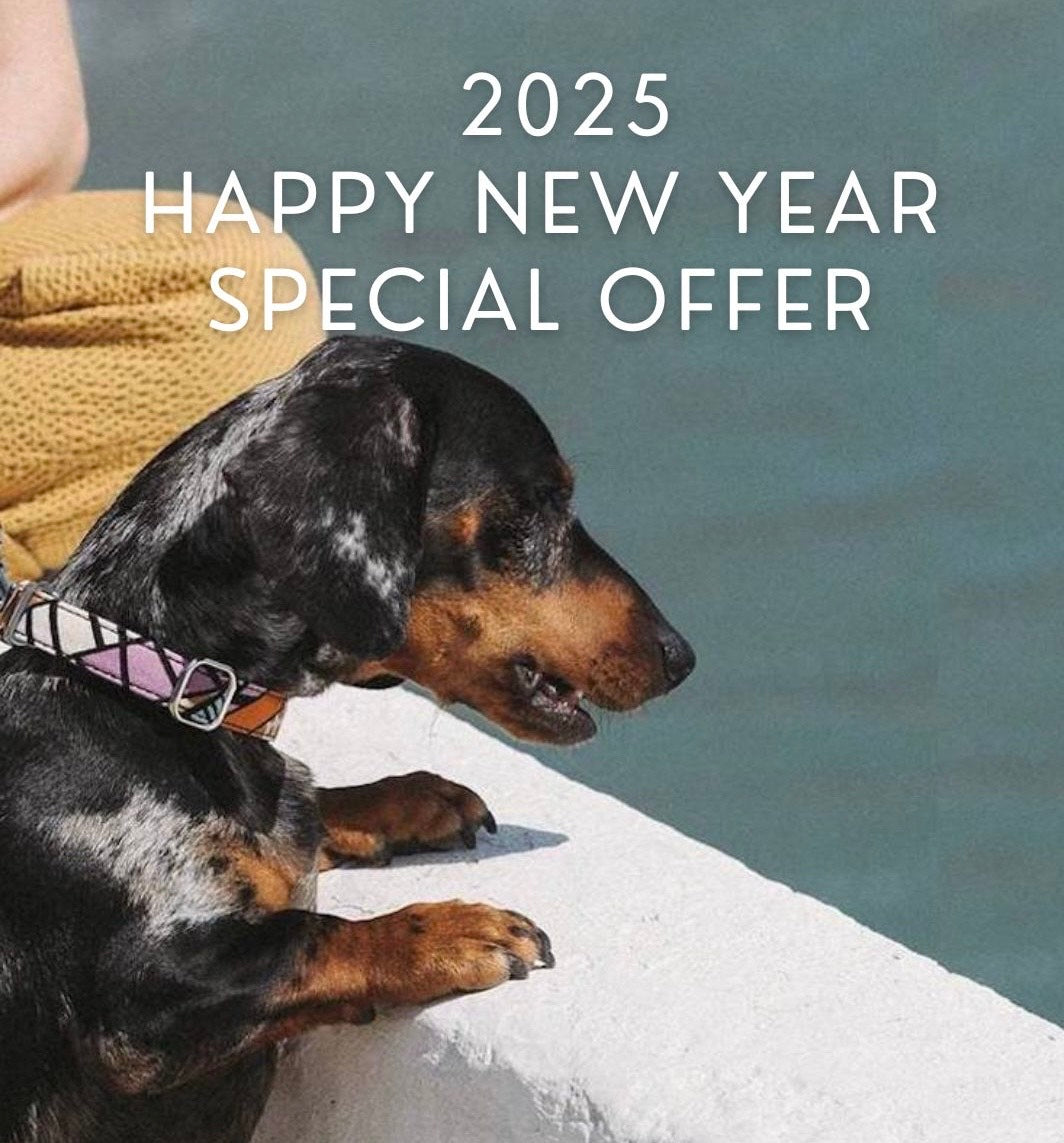 2025newyearoffer