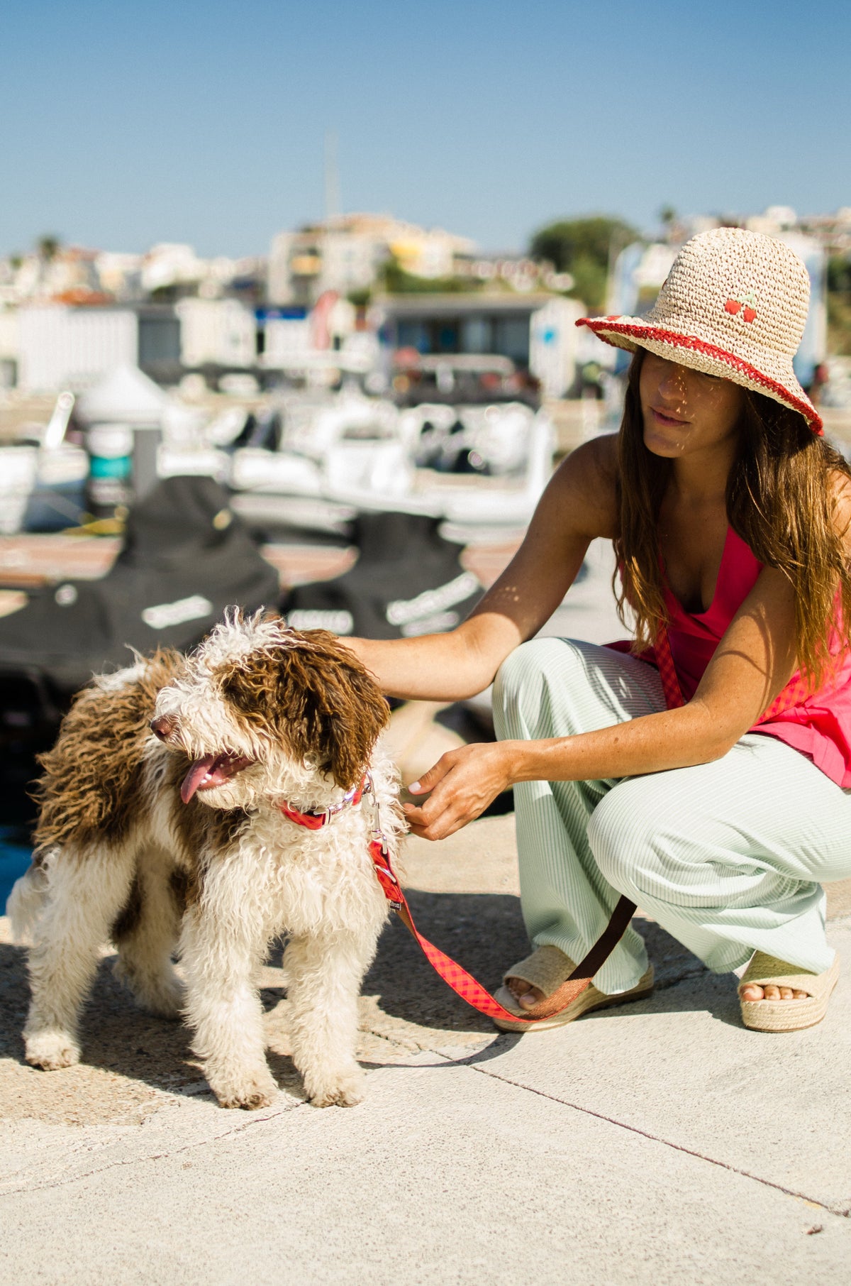 犬は人間の表情を見分けている？最新の脳研究でわかったこと