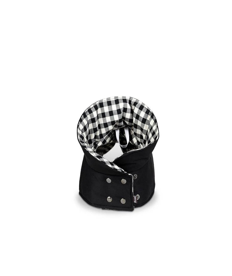 【予約販売】ドッグコート　※限定10着