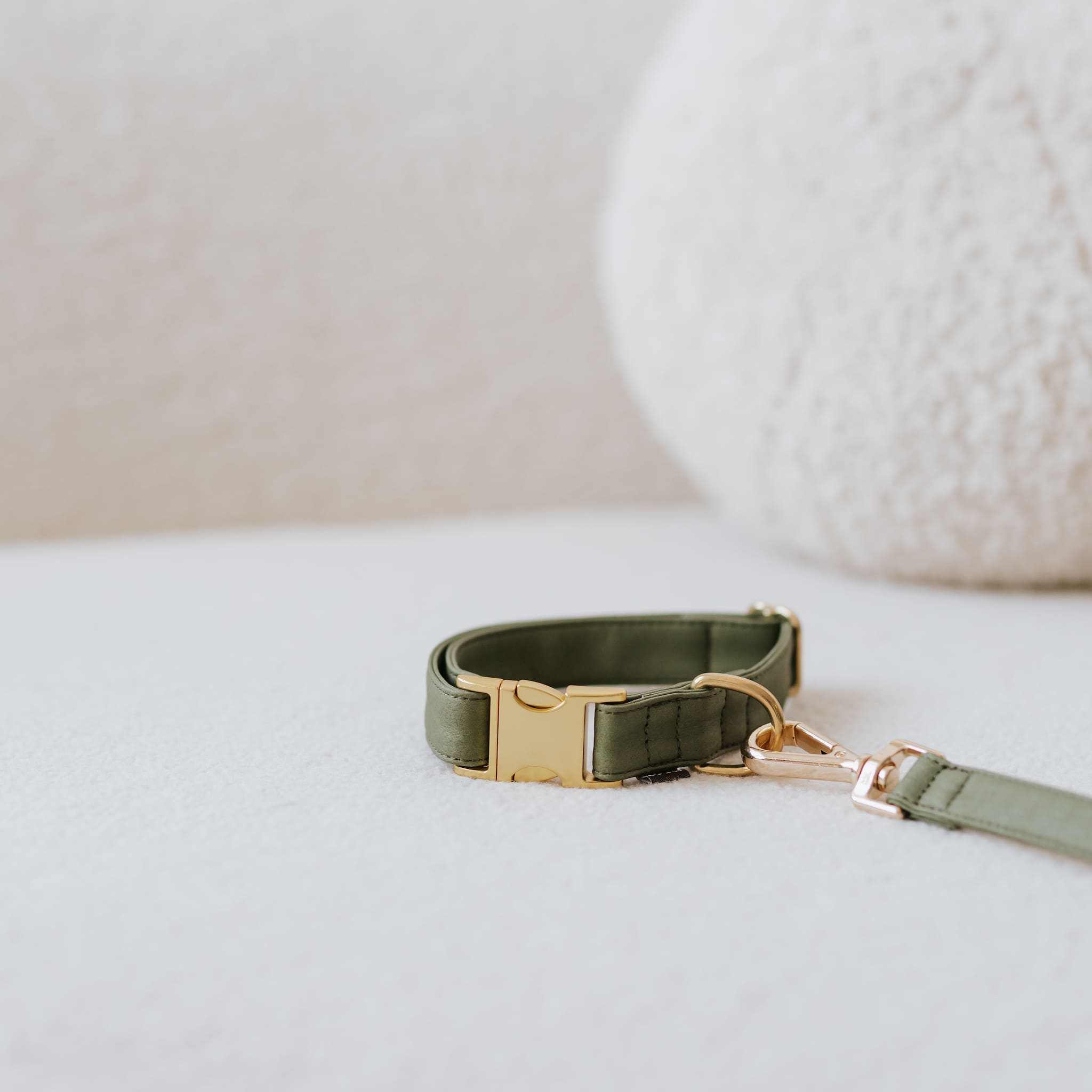 Essence ヴィーガンレザー 犬用 首輪 – Brott Barcelona