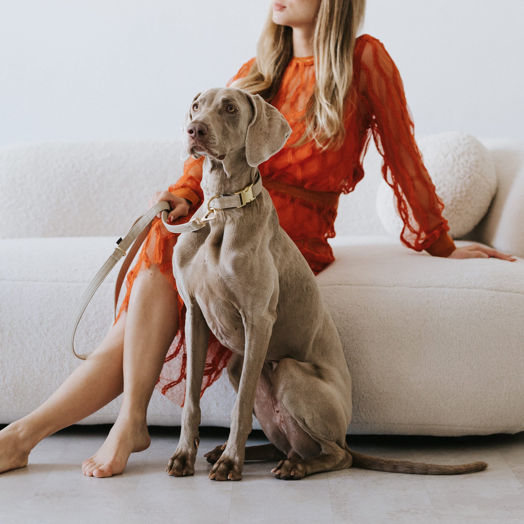 Essence ヴィーガンレザー 犬用 リード – Brott Barcelona Essence ヴィーガンレザー 犬用 リード – Brott Barcelona