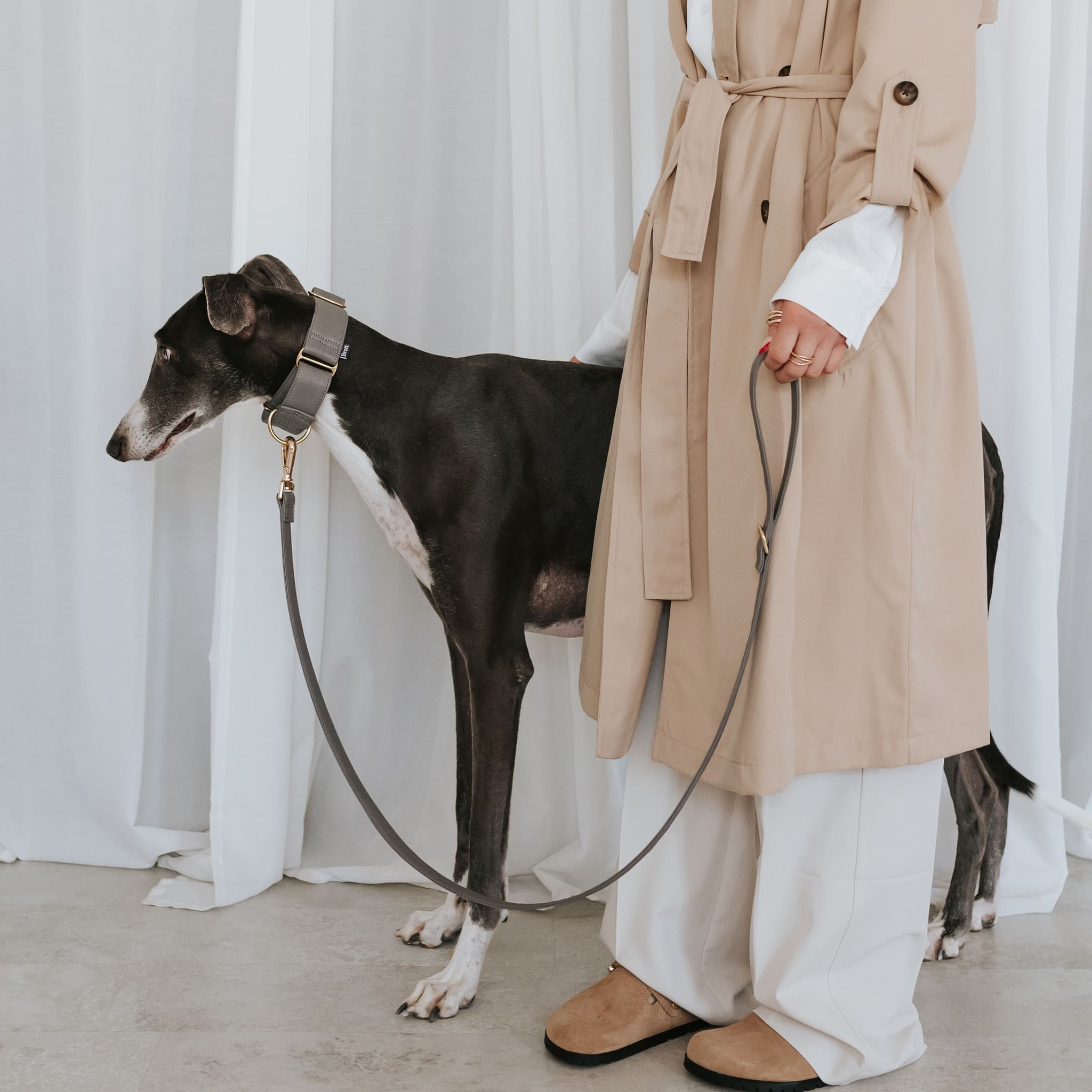 Essence ヴィーガンレザー 犬用 首輪 – Brott Barcelona