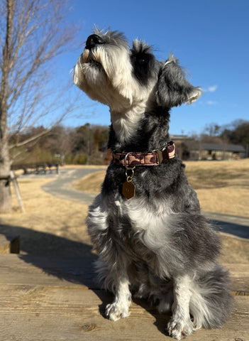 可愛すぎる | #2165581