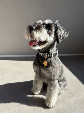 上品な色！ | #2165582