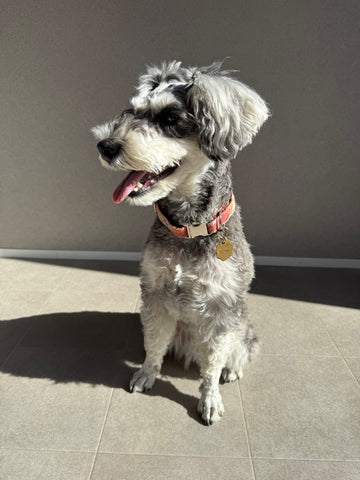 暖色で落ち着いた色 | #2165584