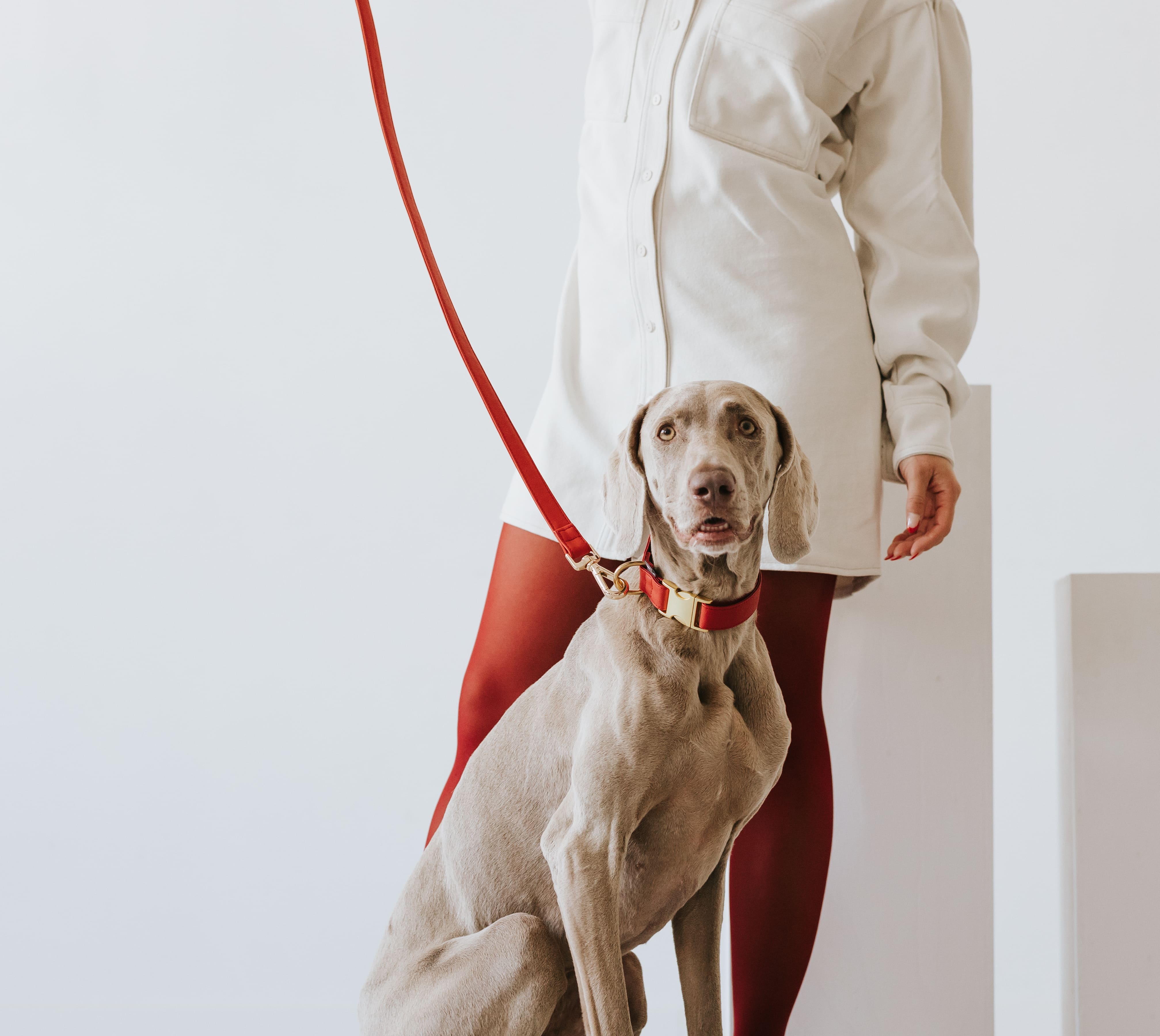 Essence ヴィーガンレザー 犬用 リード – Brott Barcelona