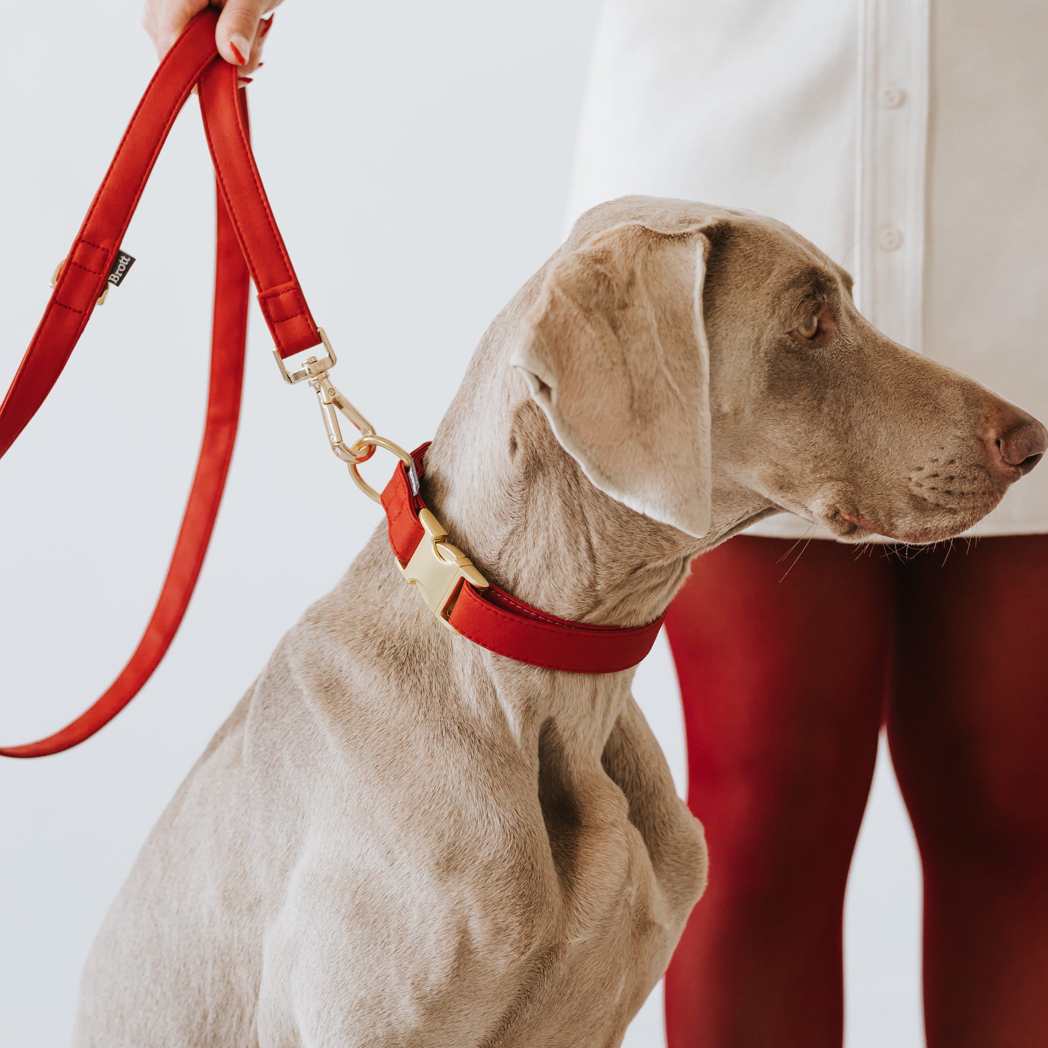 Essence ヴィーガンレザー 犬用 リード – Brott Barcelona