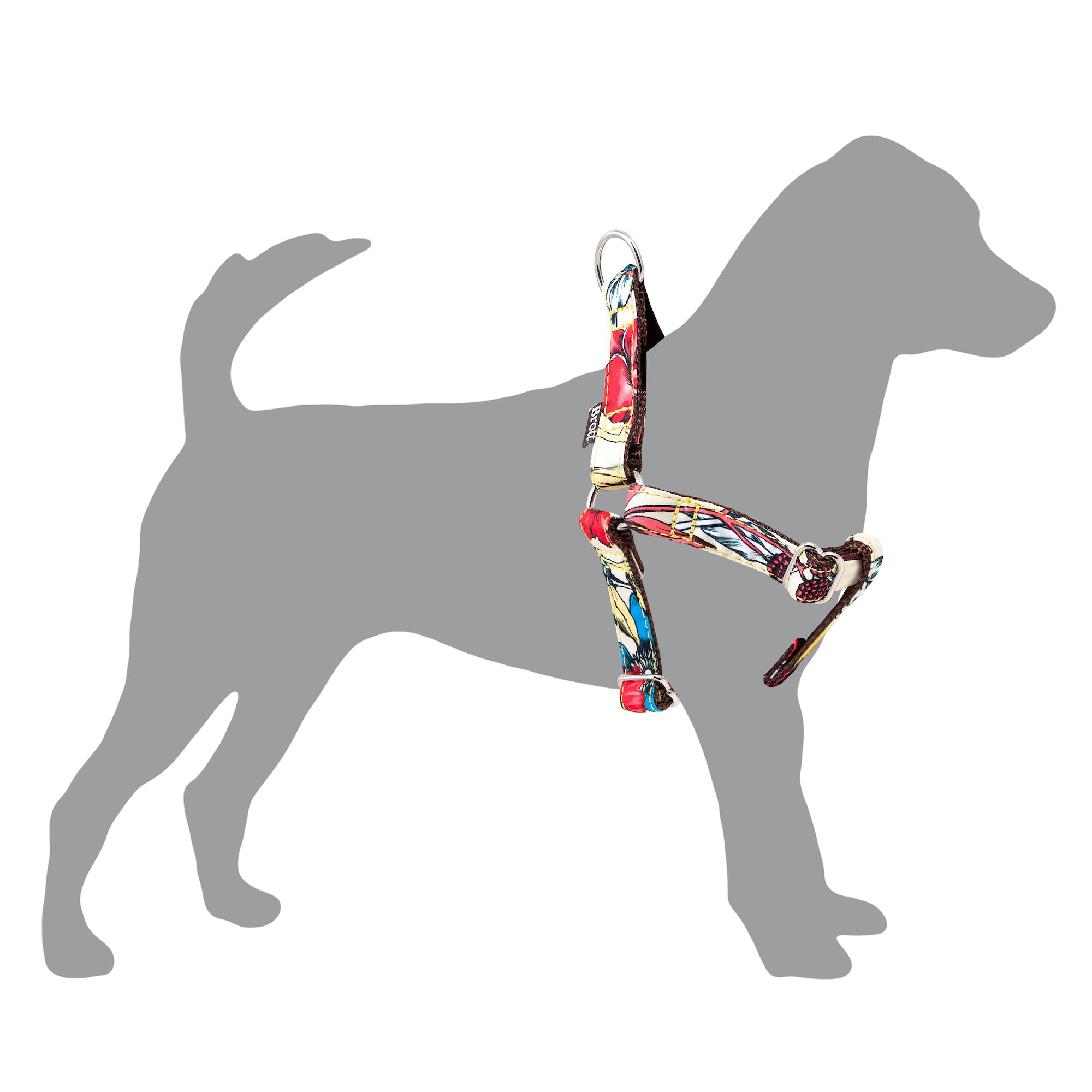 Brott ベラドンナ 首輪 MGW ハーネス 花・ベラドンナ（BELLADONA）犬用 – Brott Barcelona