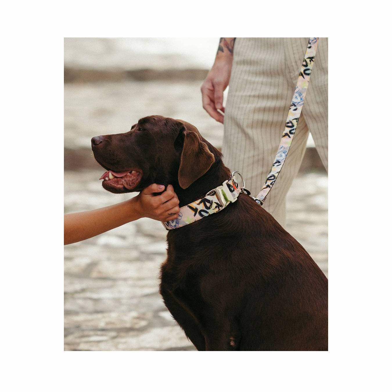 アートな壁画風プリントの首輪を着用している茶色い大型犬